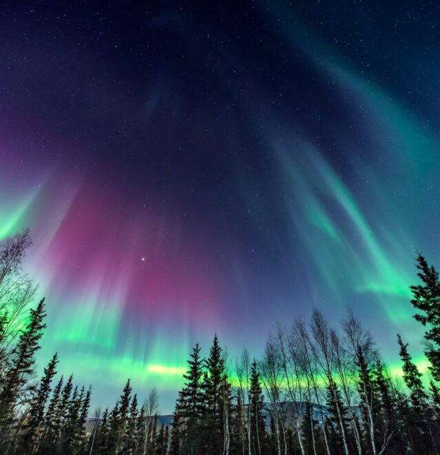 State of open data 2018 cover -Purple and green aurora / northern Lights over tree line